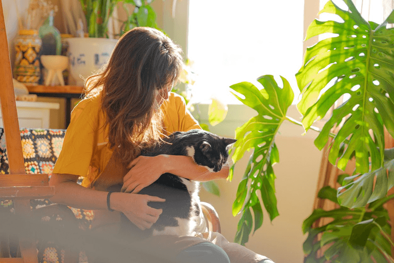 Woman embracing her cat and sitting on the armchair next to window