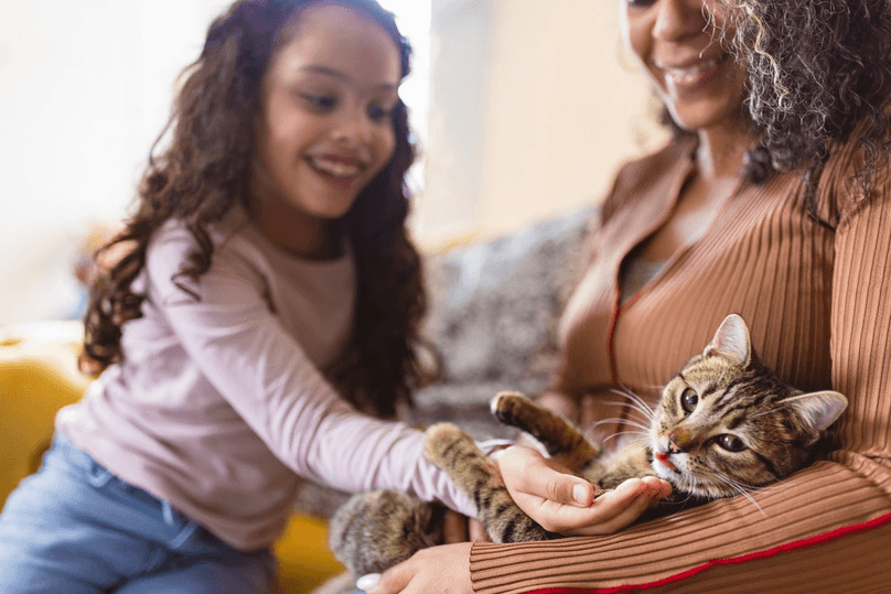 Mom and daughter playing with their cat